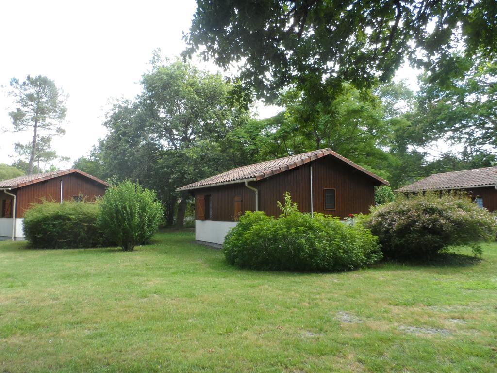 Les Chalets du Gélat, nature et calme Noaillan Extérieur photo