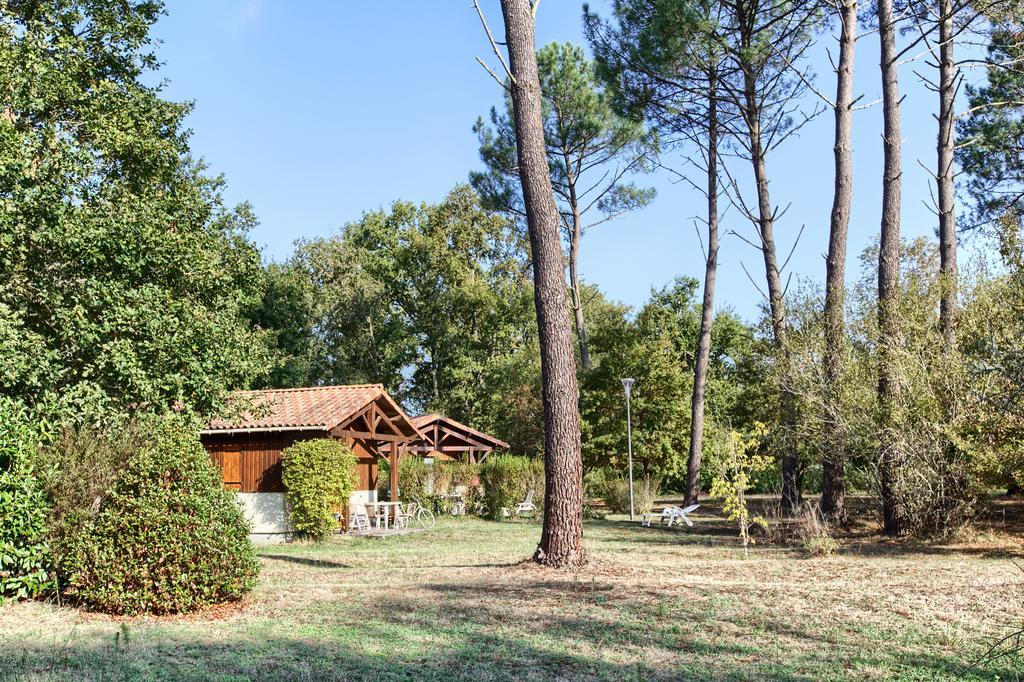 Les Chalets du Gélat, nature et calme Noaillan Extérieur photo